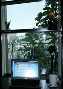 Desk_View The view from my desk